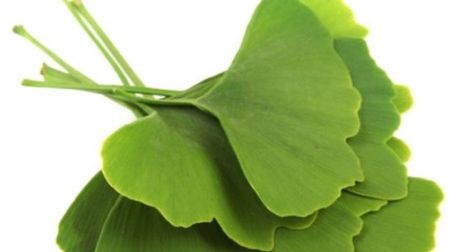 Acesta este cel mai vechi leac de pe planetă. Vindecă mii de boli! Cum acţionează