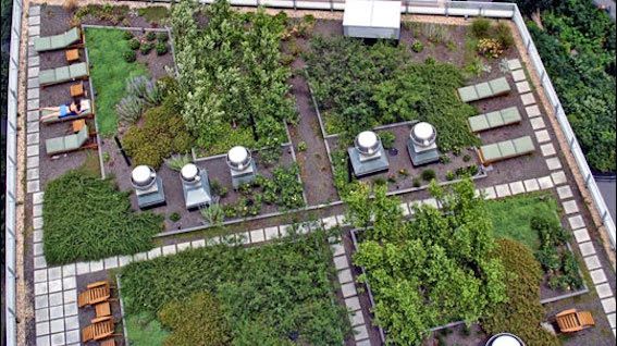 Proiect spectaculos. Acoperișurile din Paris vor fi acoperite de culturi de plante și legume