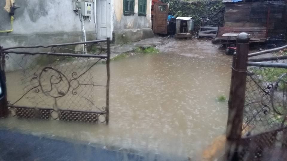 Viitura a lovit astăzi județul Timiș. 200 de gospodării din satul Vișeag au fost afectate