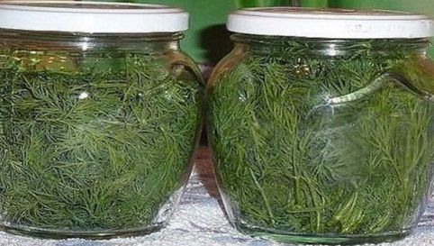 A îndesat legăturile de mărar în borcane, apoi le-a pus la frigider. Vei dori să încerci și tu acasă
