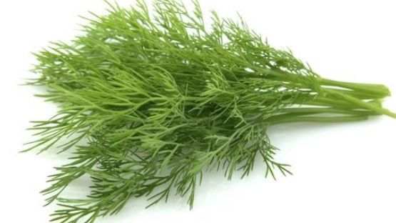 Dacă mănânci mărar îţi cresc sânii? Toate femeile vor să ştie adevărul!