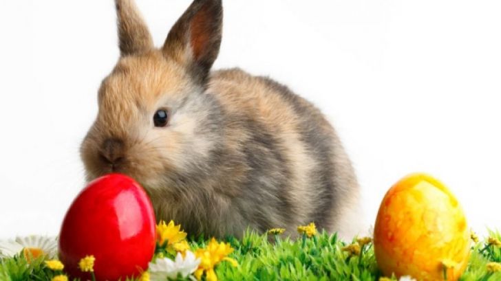 PAŞTE 2016. Cele mai ciudate tradiţii de Paşte: femeile sunt biciuite, iar iepuraşul este animal rău