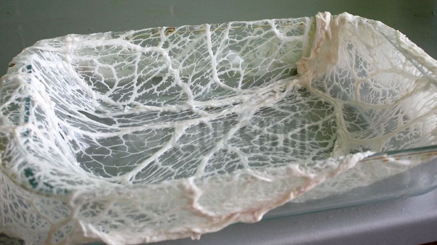  Ce este, de fapt, prapurul de miel. Motivul pentru care trebuie pus în drobul de Paşte