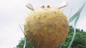 6 alimente care combat balonarea