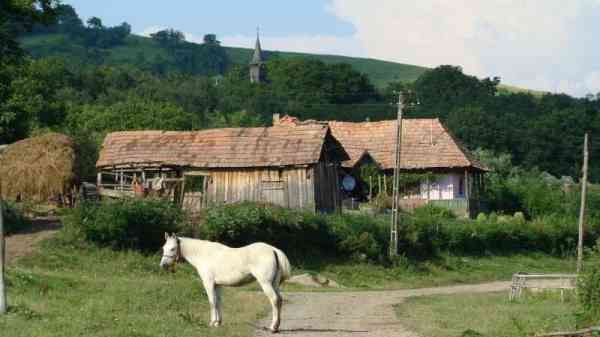 Crimele în serie care au îngrozit Transilvania, fără rezolvare după 24 de ani. Suspectul, achitat
