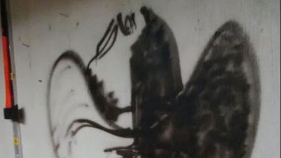 Iluzia optică ce a păcălit tot Internetul. Poți ghici ce ascunde această imagine?