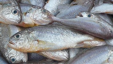 Iată cum poţi fi înşelat de către vânzător când cumperi peşte din pieţele alimentare