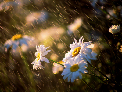 Vreme schimbătoare, dar caldă în următoarele două săptămâni. De Paşti plouă în toată ţara