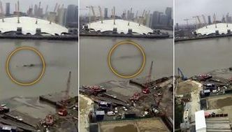 Monstrul din Loch Ness. Imaginile care au pus pe jar locuitorii din Londra 