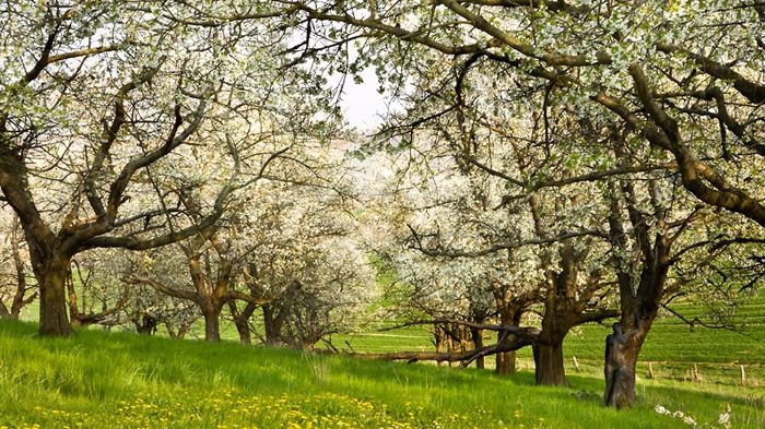 15 fotografii care îţi vor da bătăi de cap. Trebuie să le priveşti de două ori ca să le înţelegi!