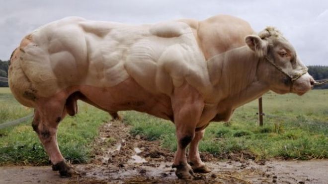 Profețiile Mitropolitului Varlaam despre modificările genetice