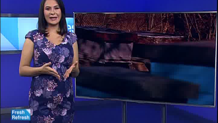 Căpăceala, remediul mai puternic decât mierea și propolisul. Cum se folosește