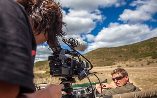 Animalul care face sex până la epuizare. După 14 ore, masculul moare