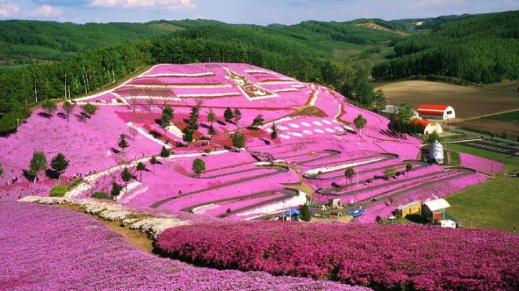 ZIUA PĂMÂNTULUI 2016. Cele mai colorate locuri de pe pământ, create de Mama Natură. Imagini WOW