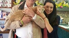 Un veterinar a luat acasă o pisică bolnavă. După 3 ani a descoperit ceva șocant. Totul s-a schimbat