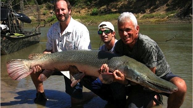 Au plecat la pescuit şi s-au întors cu cele mai BIZARE creaturi. E ŞOCANT ce peşti au prins