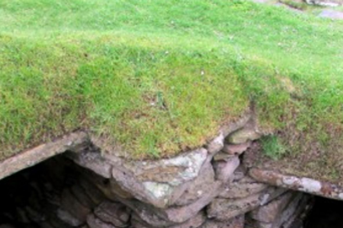 A văzut gazonul rupt. L-a ferit de tot și a avut un șoc. Ceea ce a descoperit l-a lăsat fără cuvinte