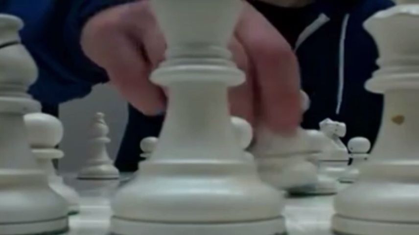 Șahul Alb, o instalație de artă contemporană 