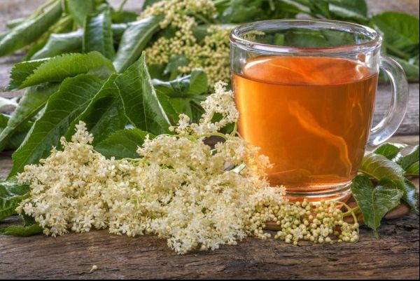 Ce efecte are floarea de soc pentru organism. Nu te așteptai la așa ceva!