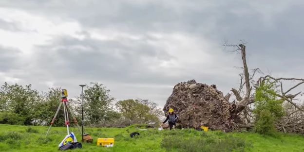 Un vânt puternic le-a smuls copacul din rădăcină! Când au văzut ce era îngropat acolo, au îngheţat!