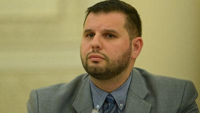 Stoenescu: Diaspora să înțeleagă că reprezintă o forță pentru România