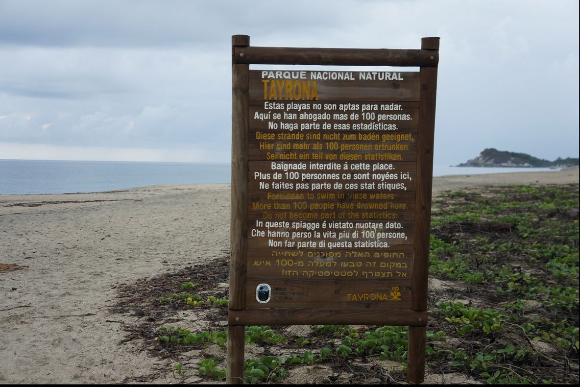 A adormit în rezervație. Dimineață, când a deschis ochii, a împietrit. Credea că trăiește un coșmar