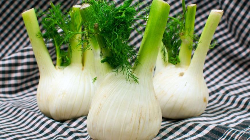 Efectele uimitoare ale feniculului. Puțini știu cât este de eficient!