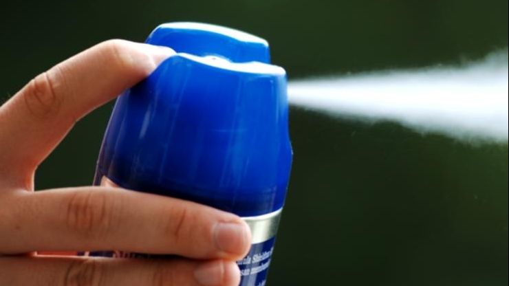 Cum să scapi de gândaci pentru totdeauna