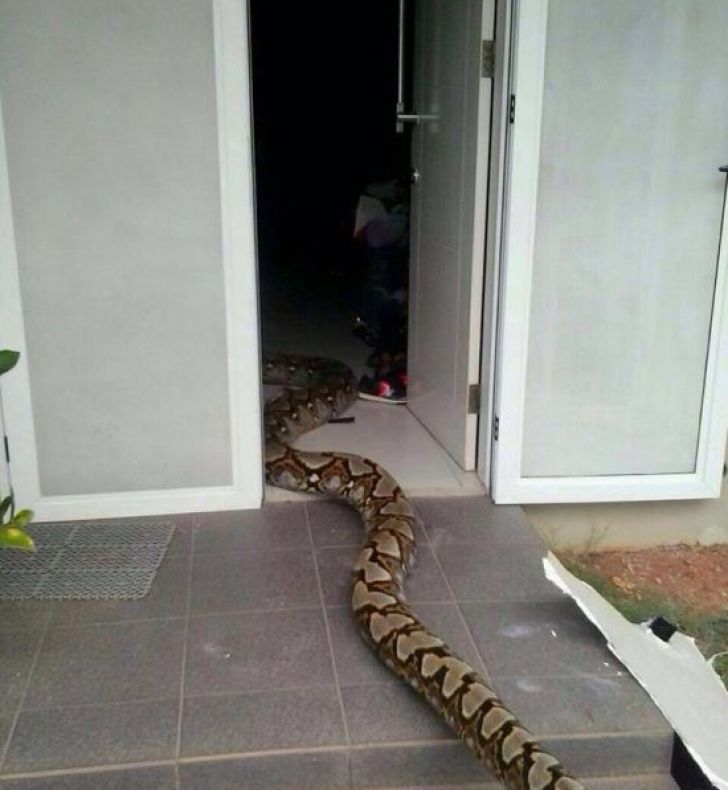 Momente de groază. Ce s-a întâmplat după acest instantaneu. Și-ar fi dorit să nu fie acolo