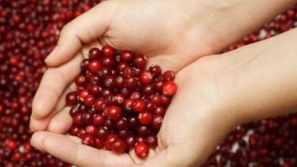 Remediul miraculos din munți. Ajută la vindecarea a 8 grupe de boli