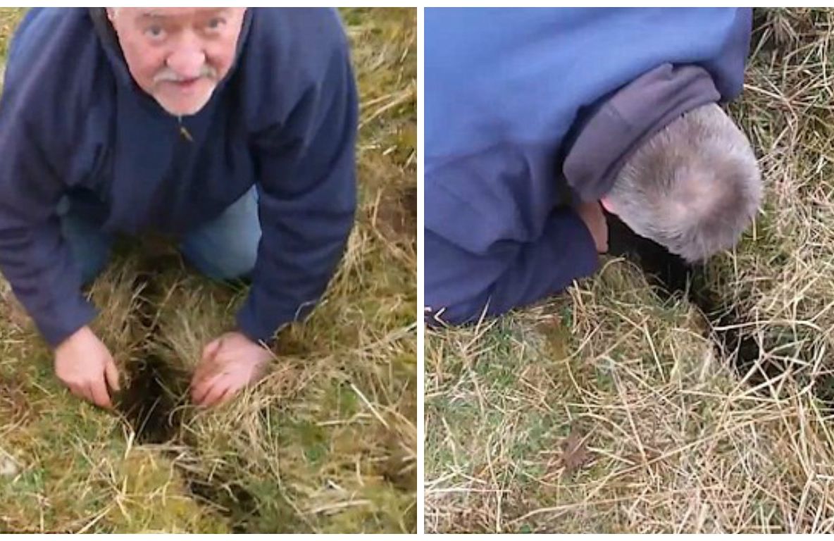 Au auzit zgomote stranii din crăpătura din pământ. Temători, au băgat mâna și..ȘOC. Ce a ieșit