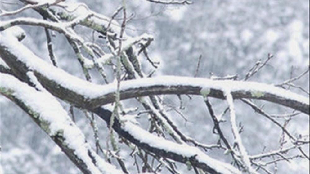 A căzut prima ninsoare în România, după săptămâni întregi de caniculă 