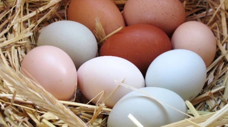 Diferenţa dintre oul alb şi cel cu coaja maro. Care este, de fapt, mai sănătos?