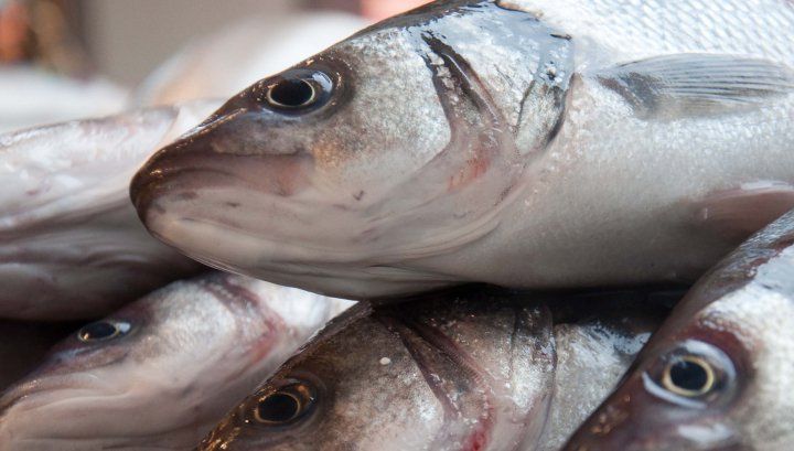 Avertismentul lansat de medici! NU mai mâncaţi aceste tipuri de PEŞTE! Conţin mercur și plumb