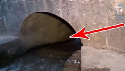 A auzit zgomote venind din tunel și s-a apropiat speriat. Nu-i venea să creadă ce a găsit. Erau vii!