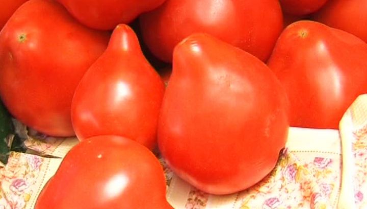 Mare atenţie! Cercetătorii avertizează că roşiile ţuguiate sunt periculoase