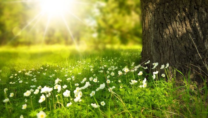 PROGNOZA METEO, 20 mai. Vreme din ce în ce mai caldă. Cum va fi în weekend