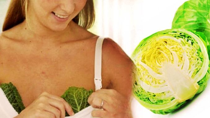 Şi-a pus frunze de varză pe sâni înainte de culcare. Cum s-a trezit dimineaţă! Uluitor!