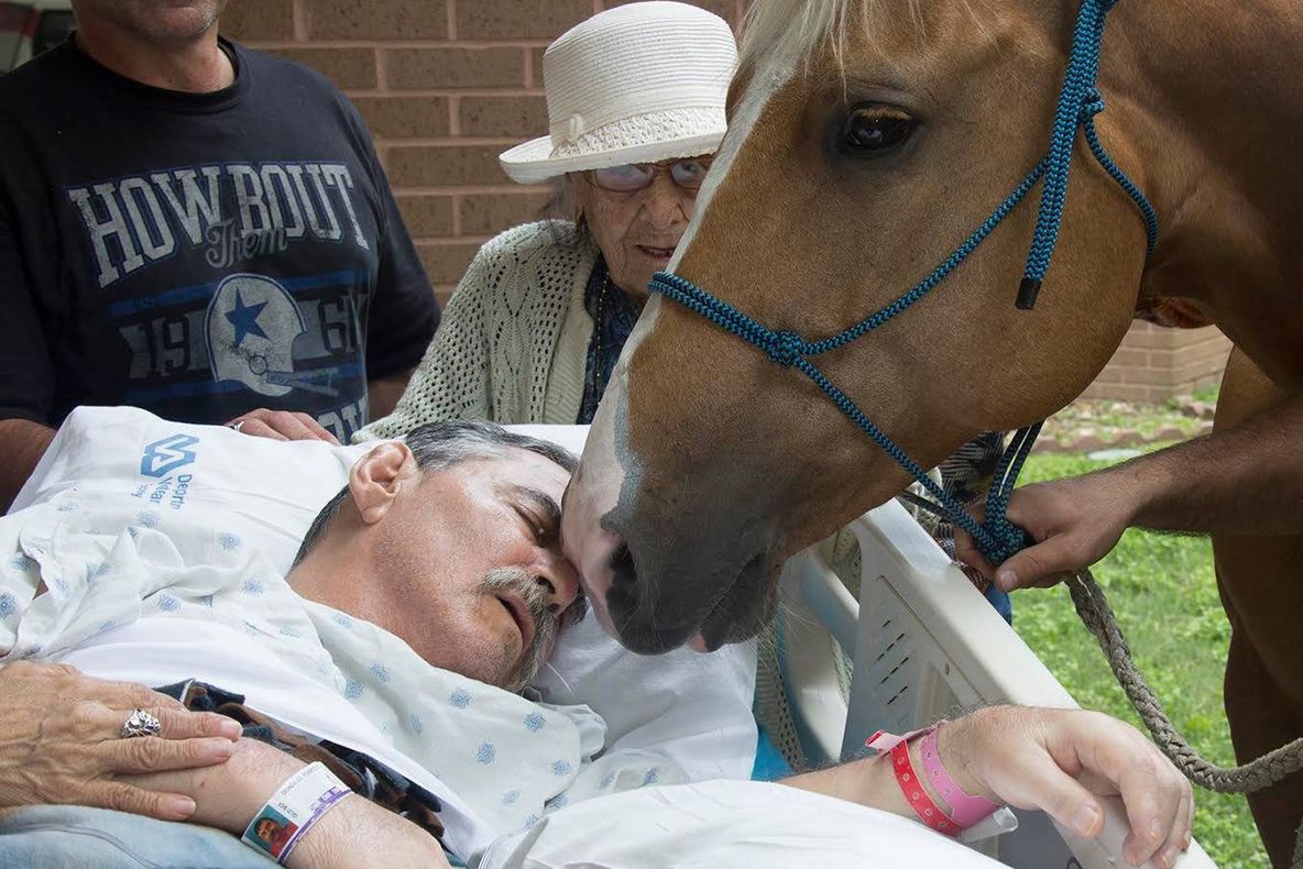 Era pe moarte și a cerut să-i aducă un cal. Când animalul l-a atins, ceva incredibil s-a întâmplat