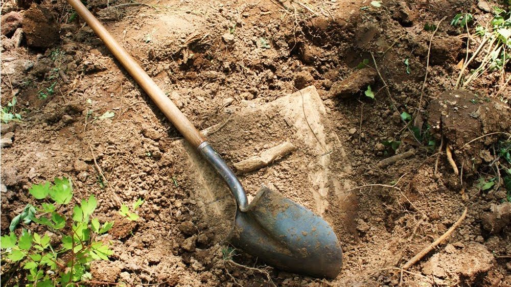 Fost ministru, prins în flagrant. Încerca să ascundă o AVERE în grădina unei mânăstiri