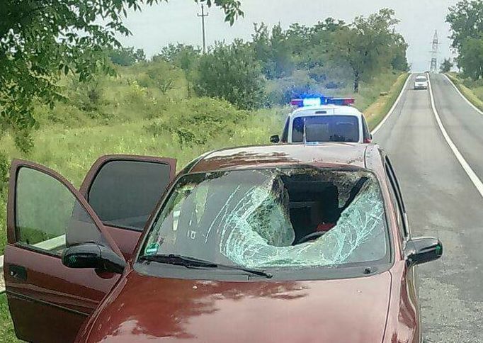 Accident înfiorător, pe o şosea din Timiş. I-a sărit în braţe şoferului, prin parbriz. FOTO 