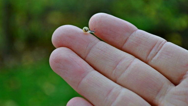 Ce destin vei avea în funcție de forma degetului mijlociu