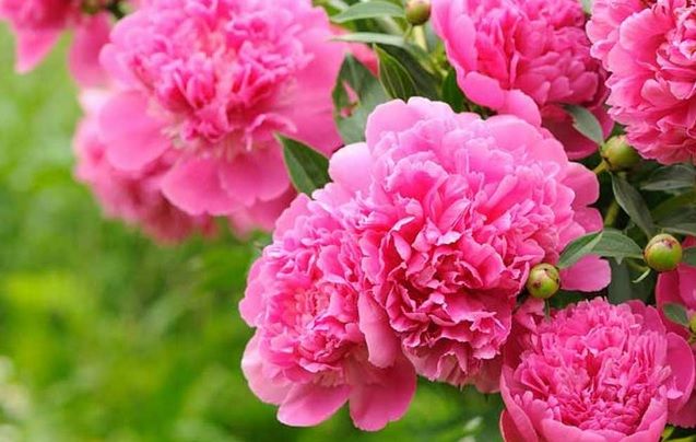 Vreme frumoasă, dar răcoroasă. Prognoza meteo pe trei zile 