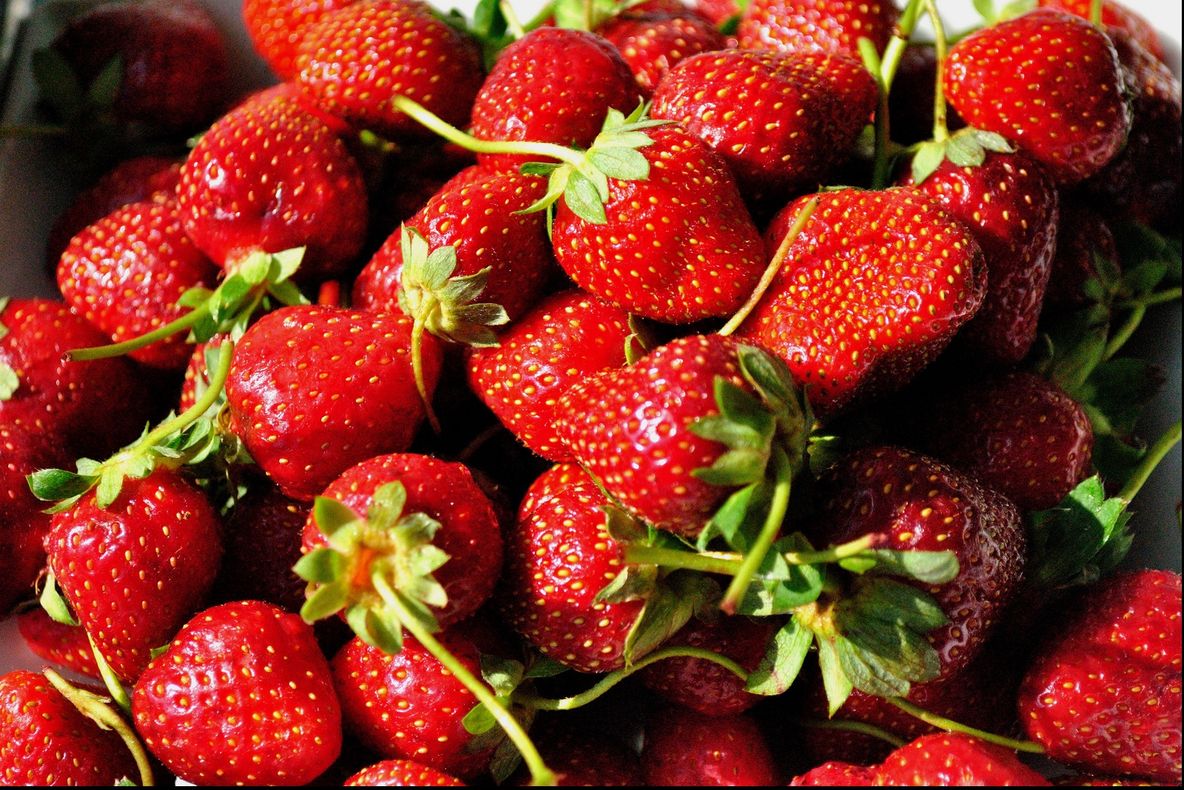 Aşa se prepară vinul de căpsuni. Efectele asupra sănătăţii sunt uimitoare