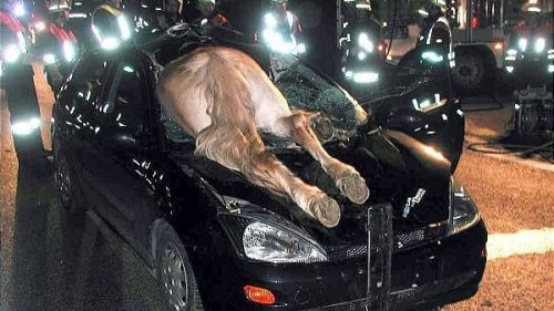 Accident ÎNFIORĂTOR. Martorilor nu le-a venit să creadă - GALERIE FOTO!