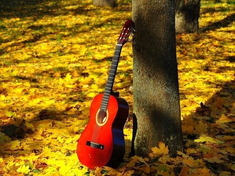 O LEGENDĂ a muzicii FOLK a murit! O ţară întreagă îl plânge pe cel care ne-a alinat inimile