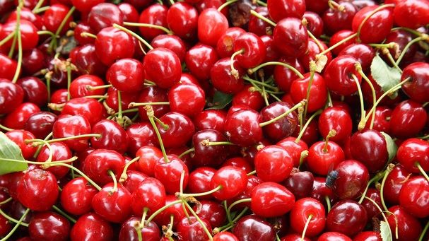 Viermişorii din cireşe sunt inofensivi. Pesticidele, însă, sunt nocive