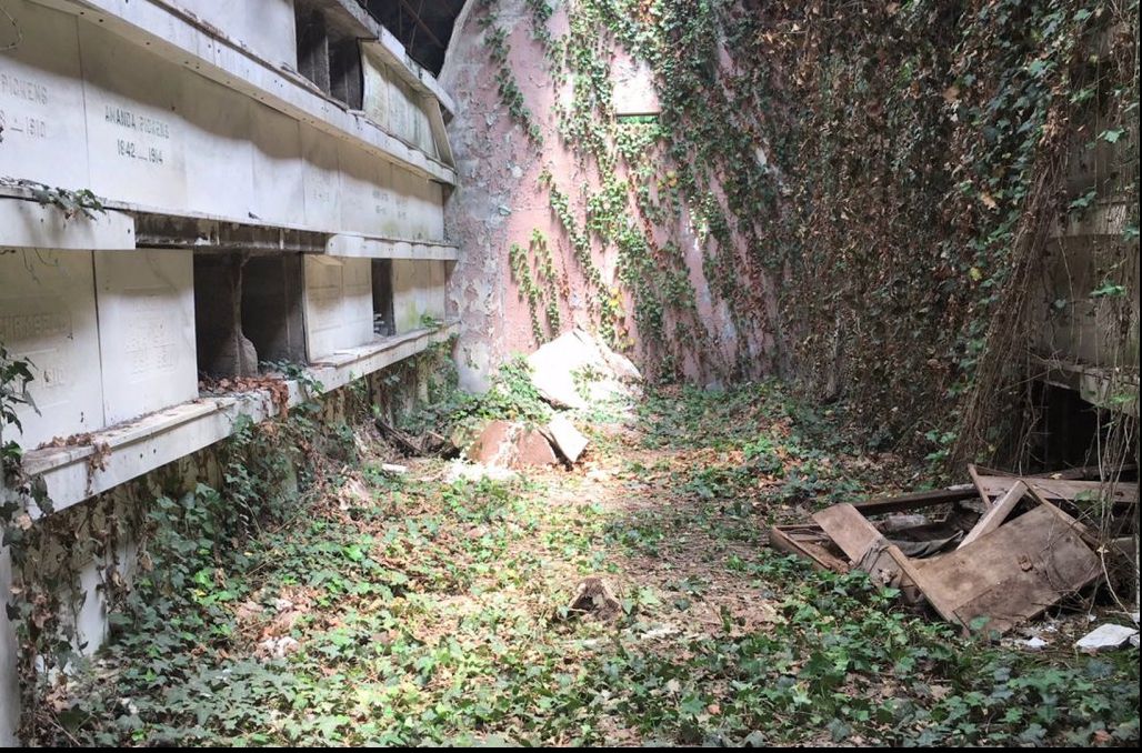 A mers să curețe mormântul tatălui ei. Cavoul era deschis,sicriul lipsea.A realizat prea târziu că..