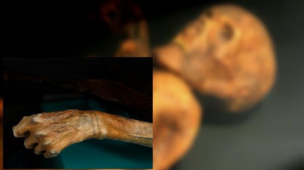 Cum arată cele mai VECHI tatuaje din lume. Au peste 5300 de ani. Află cui au aparținut