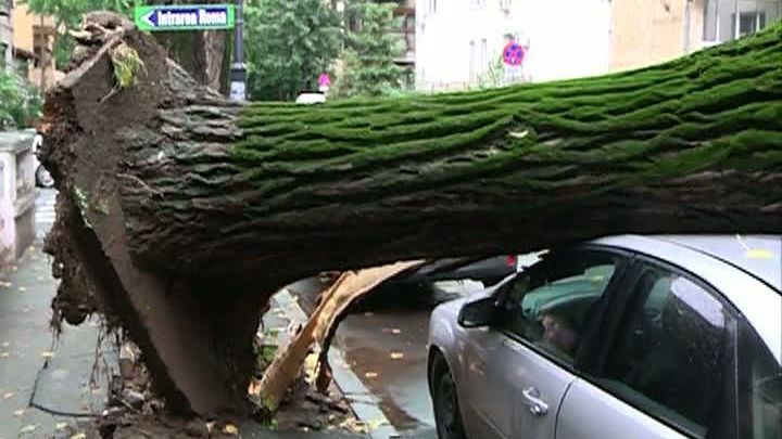 Potop în Capitală! Zone inundate, copaci căzuţi, maşini avariate. Metroul, parțial oprit -FOTO-VIDEO